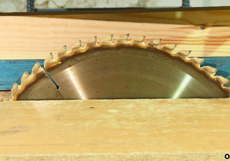 Which Way Does a Circular Saw Blade Go? Expert Guide